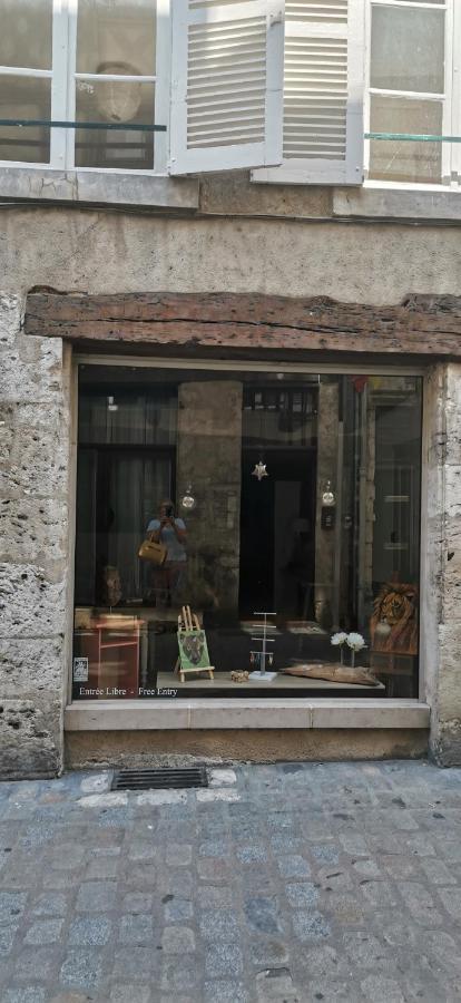 Le Logis De La Rue Des Arts Διαμέρισμα Μπλουά Εξωτερικό φωτογραφία