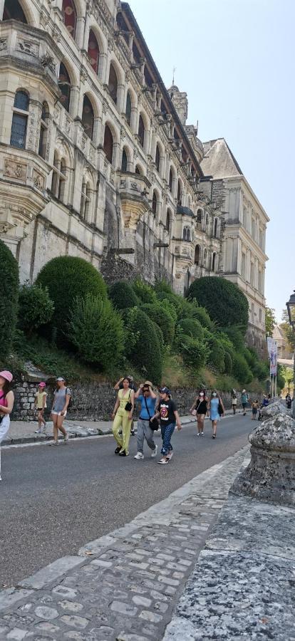 Le Logis De La Rue Des Arts Διαμέρισμα Μπλουά Εξωτερικό φωτογραφία